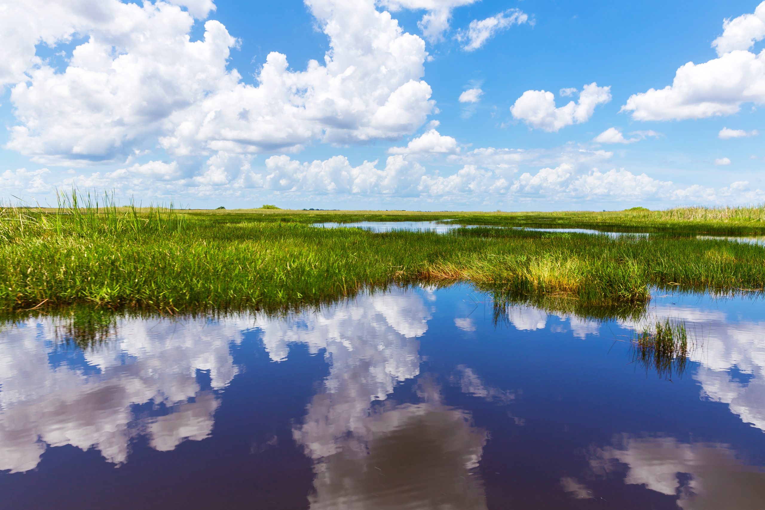 Amazing natural landscape at Everglades, southern Florida, USA